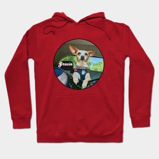 Gracie the Chihuahua Hoodie